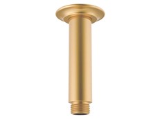 Eternal Shower Dropper 100mm Brushed Brass