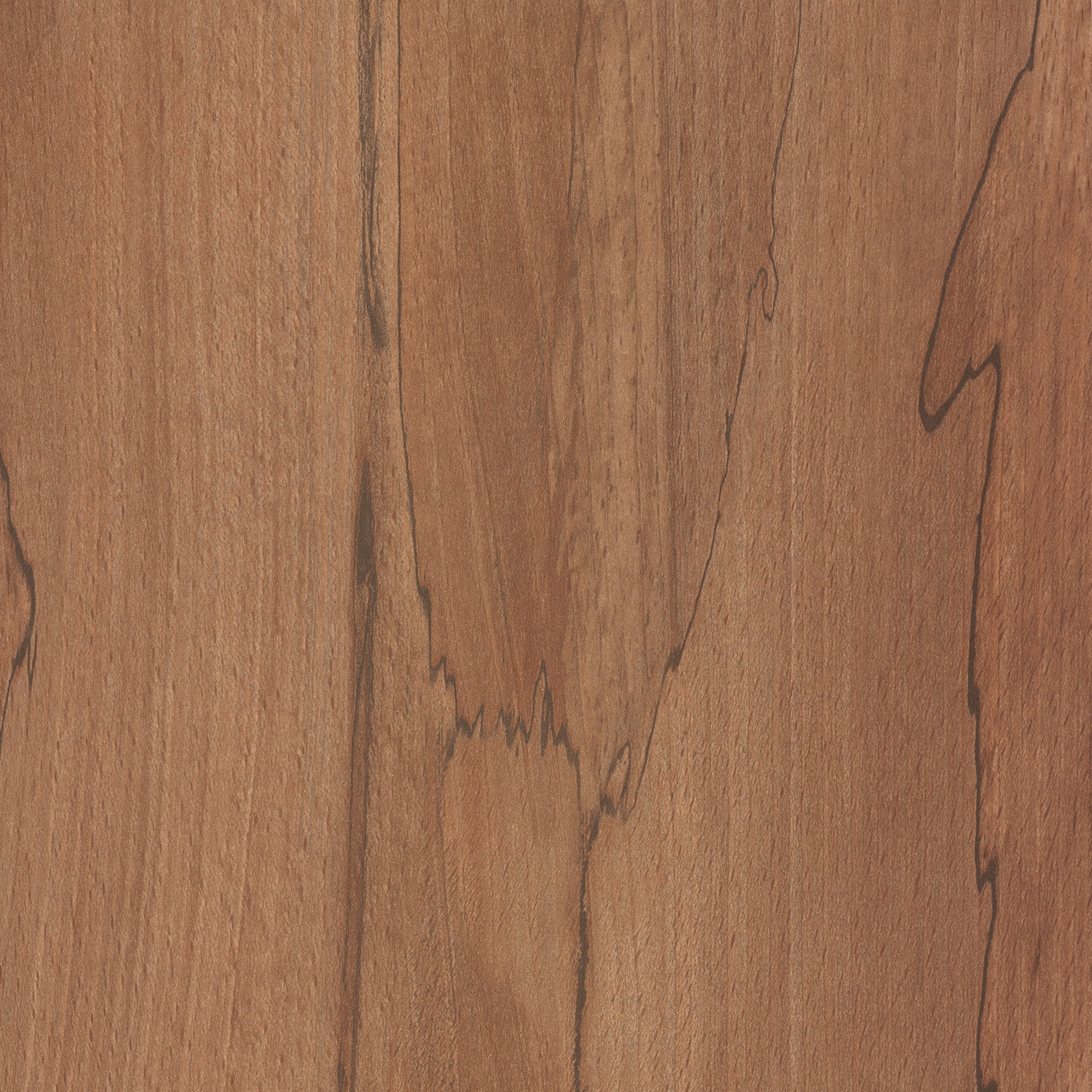 Australian Native Woodmatt (Textured)