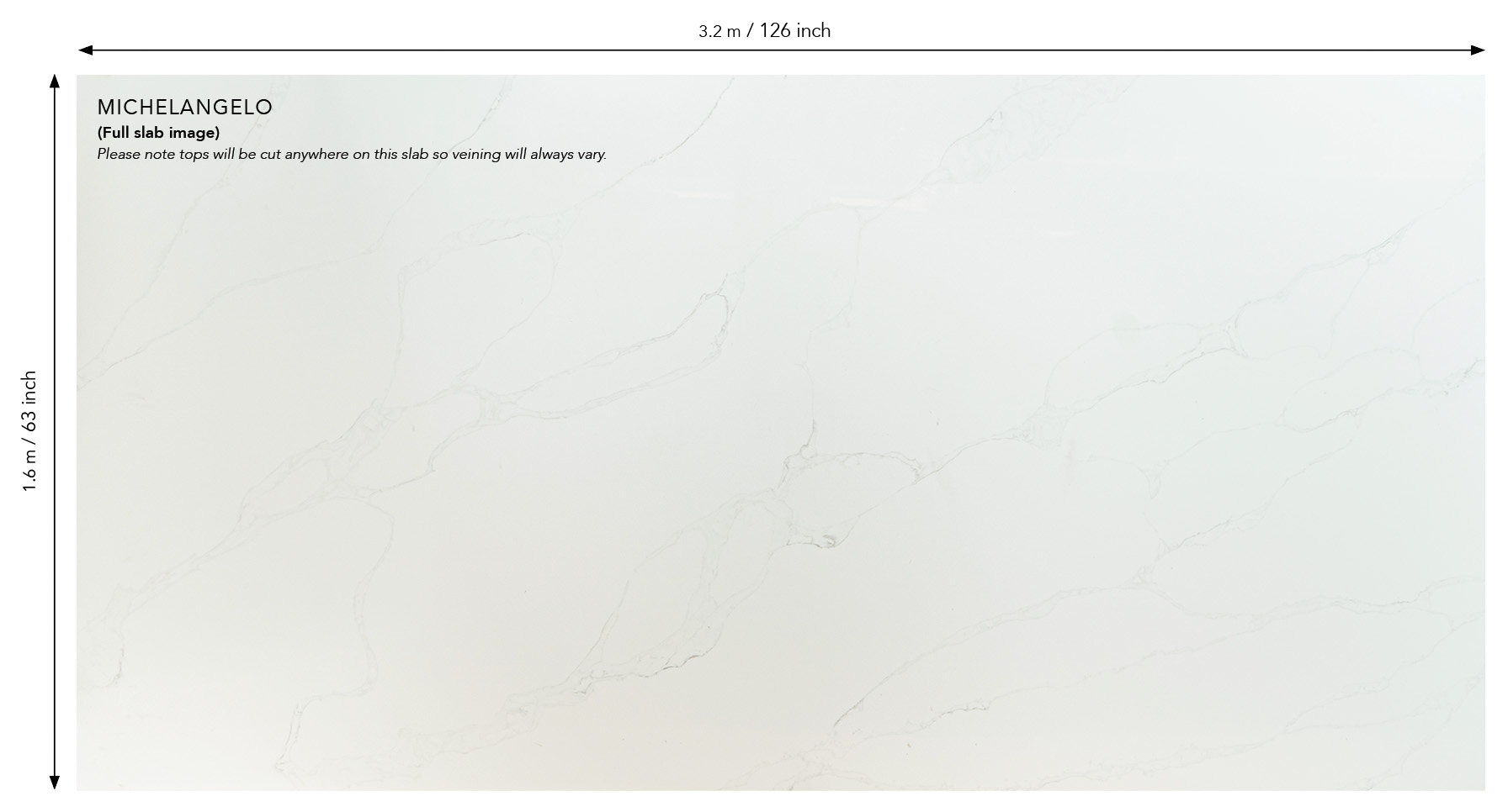 Michelangelo Full Sheet Web (1)